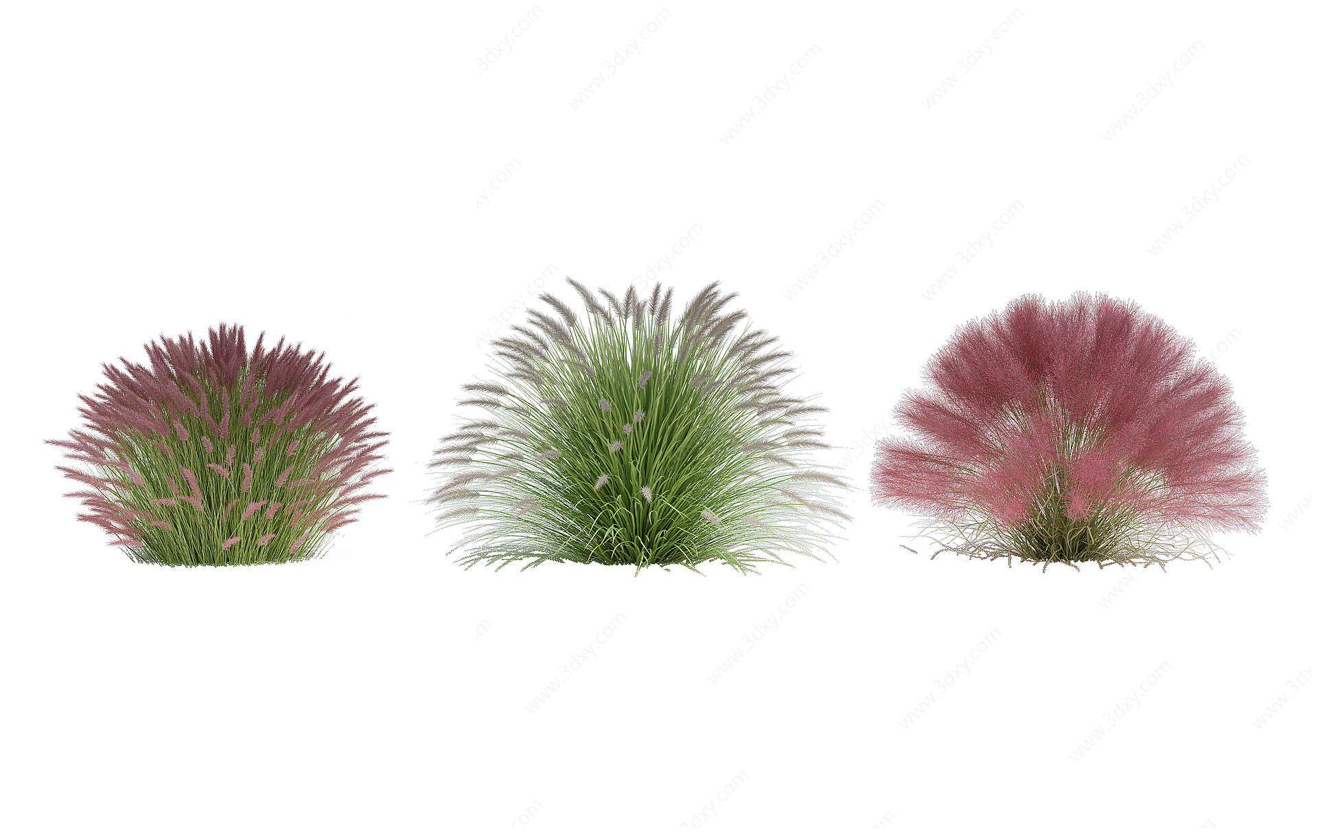 植物花草景观灌木丛3D模型