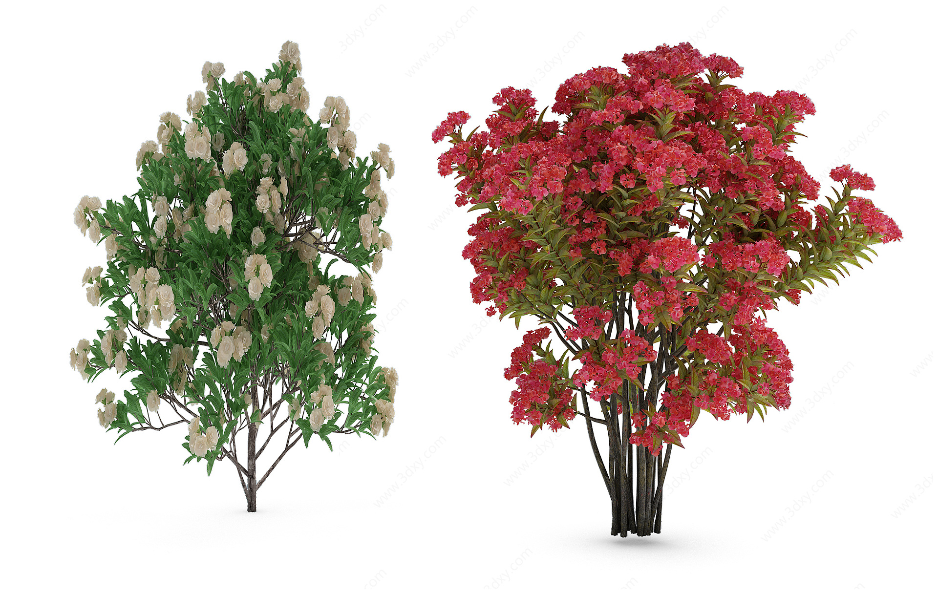 植物树木大树花3D模型