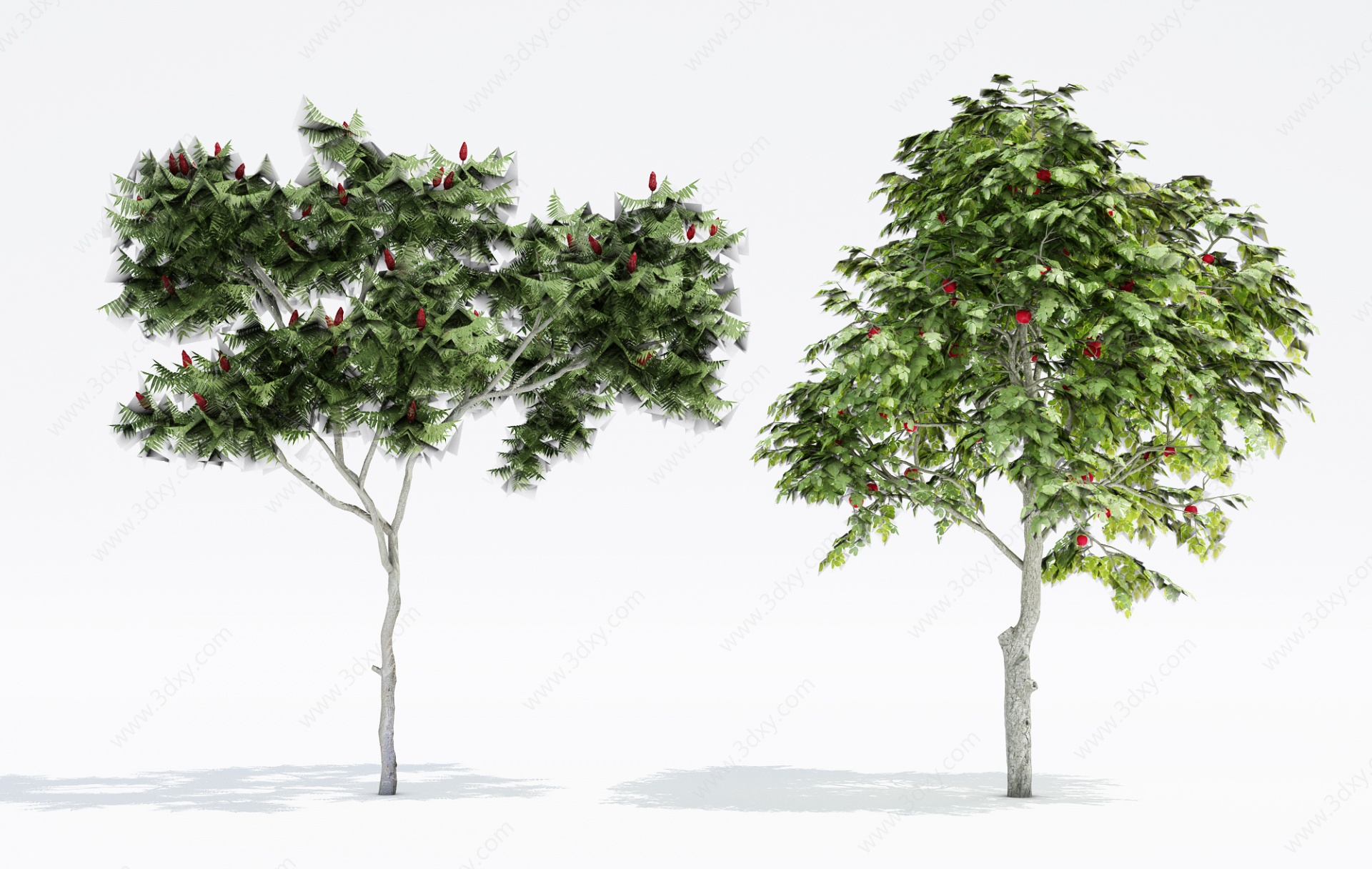 植物树木大树果树3D模型