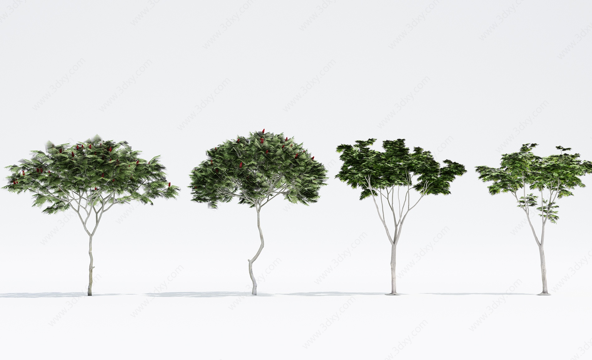 植物树木大树3D模型