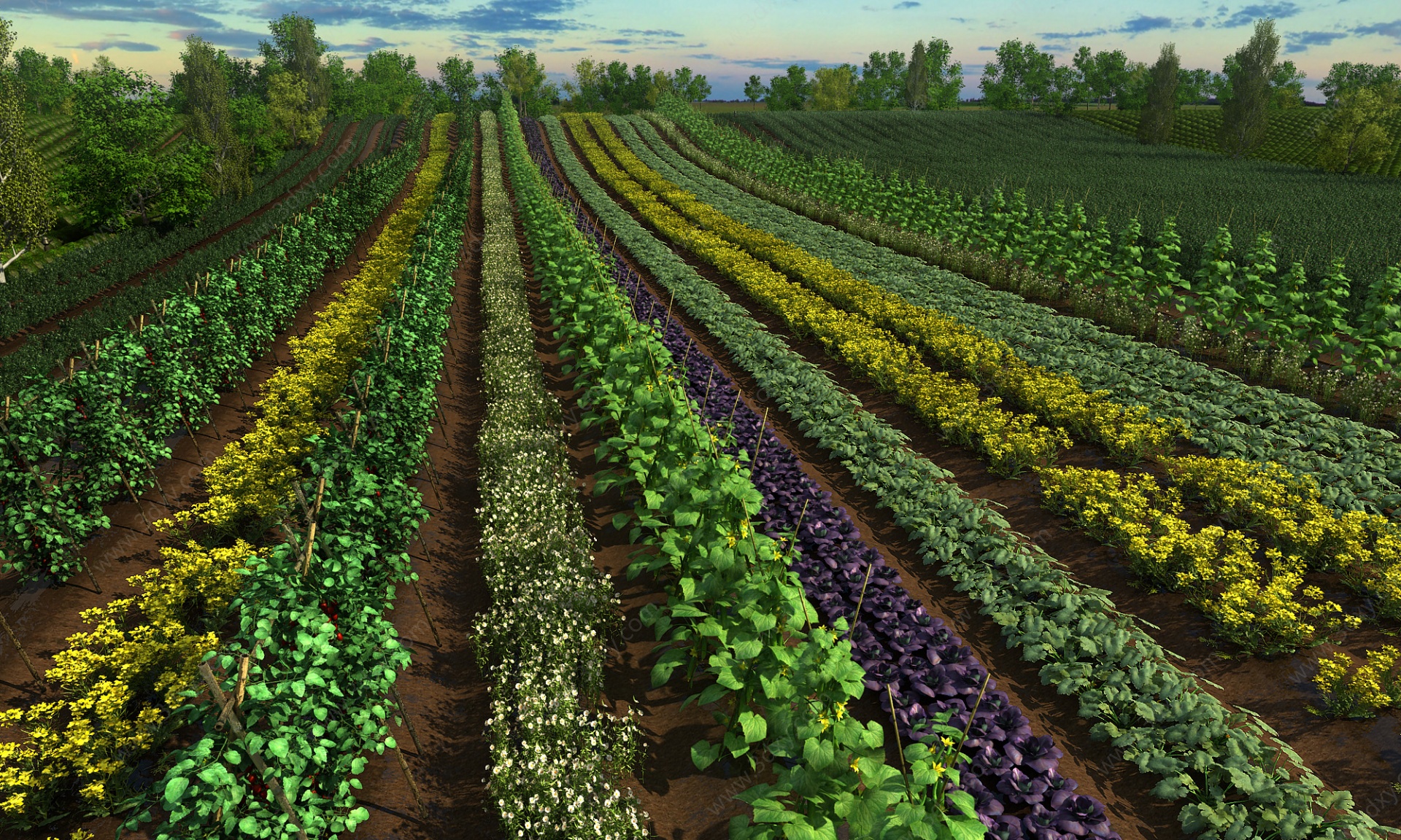 现代景观蔬菜园3D模型
