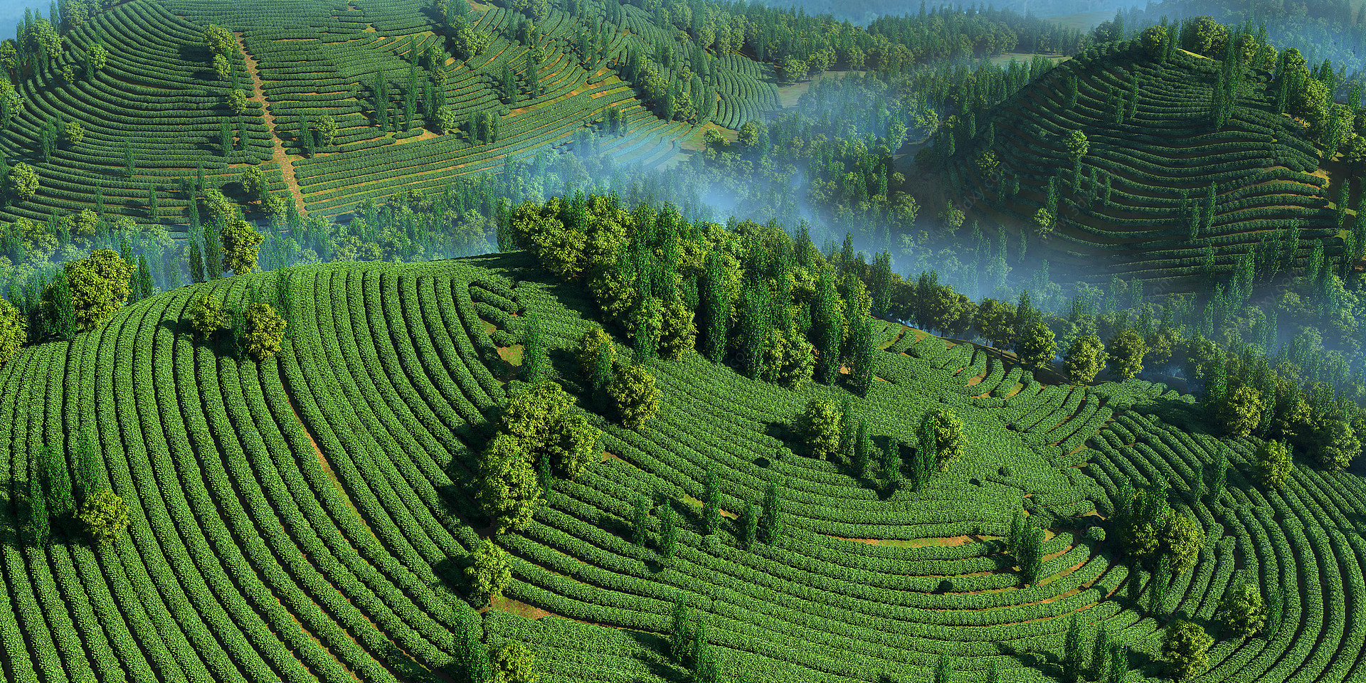 茶山茶园自然景观3D模型