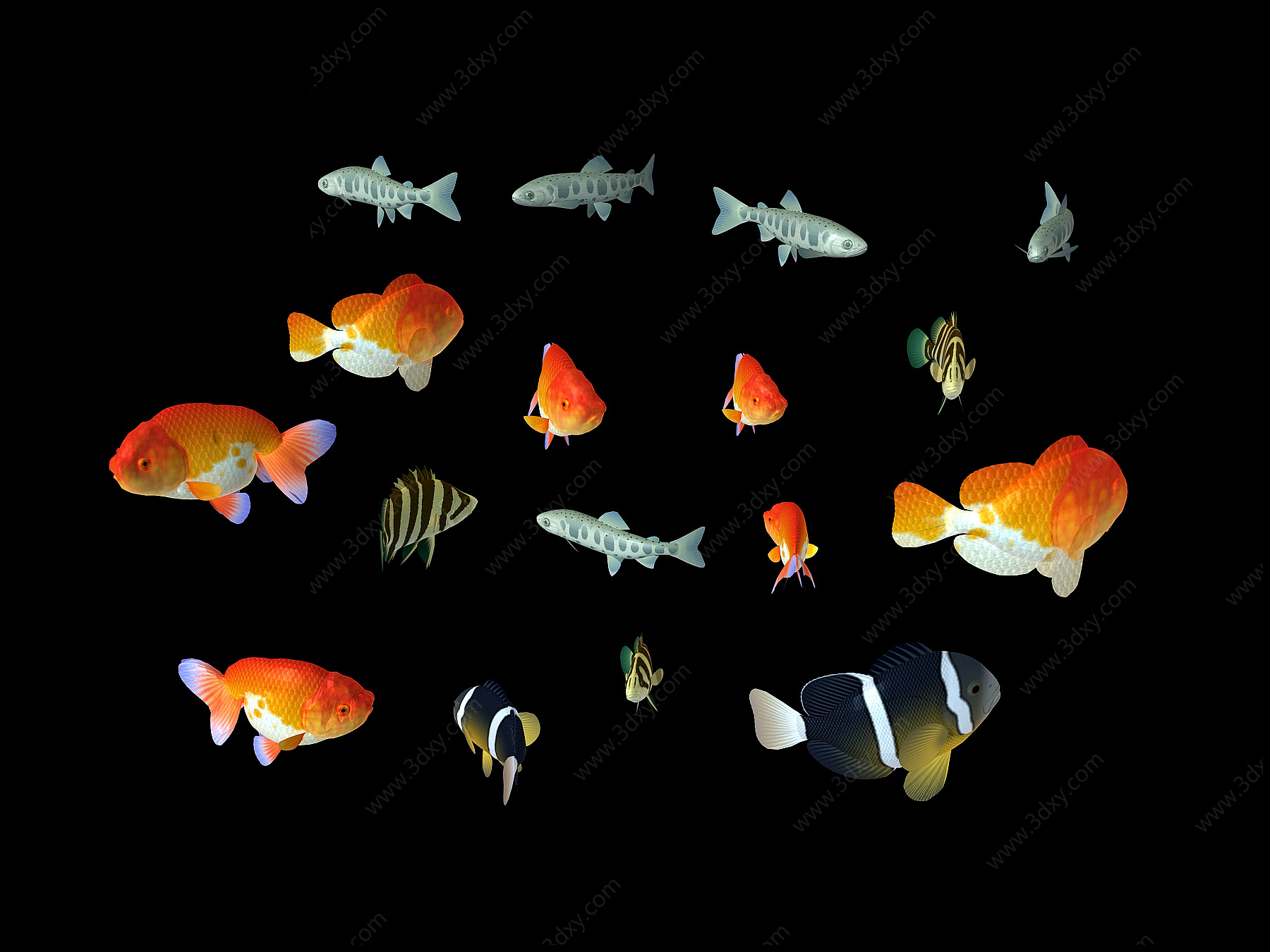 现代鱼3D模型