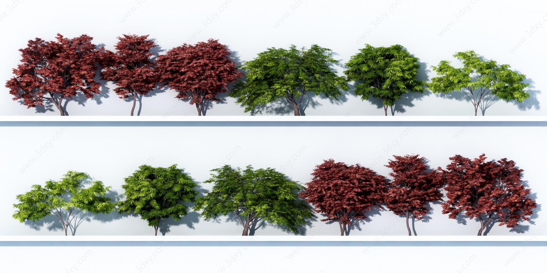 现代红枫树3D模型3D模型