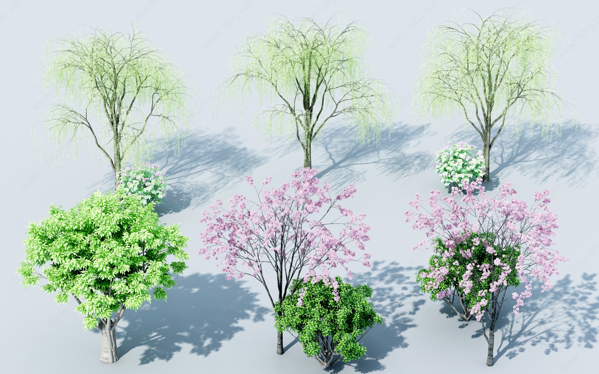 柳树3D模型