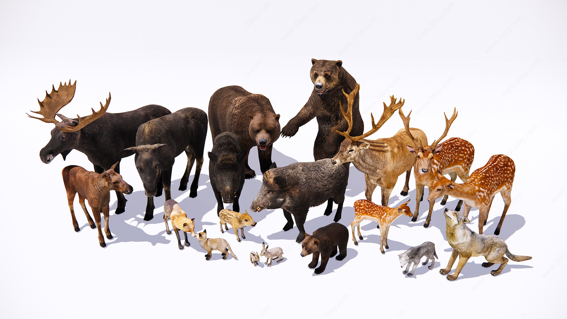 森林动物爬行动物鹿狼3D模型
