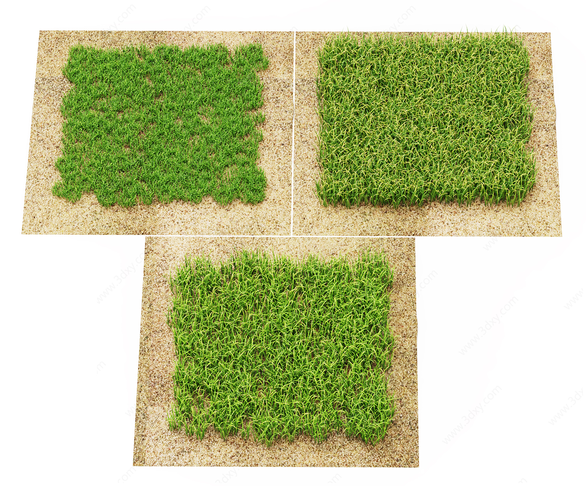 草坪3D模型