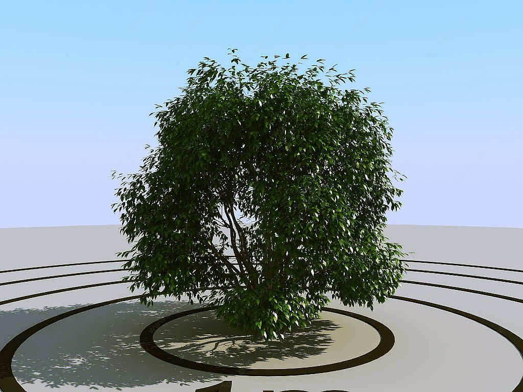 灌木植物球绿植3D模型