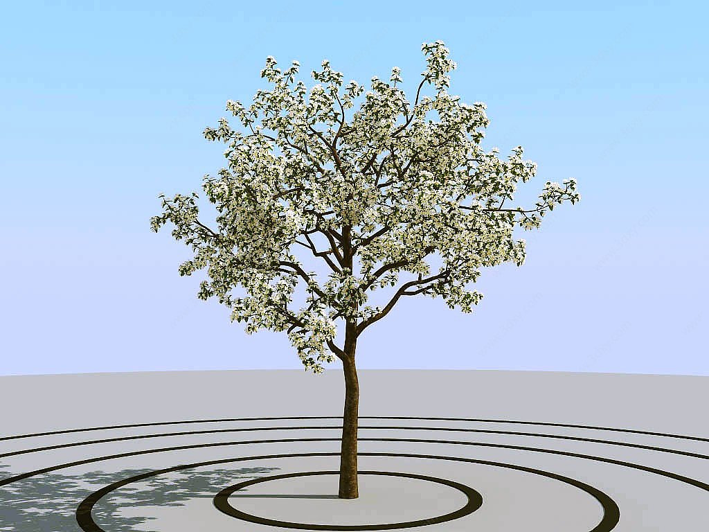 夏季景观植物树木3D模型