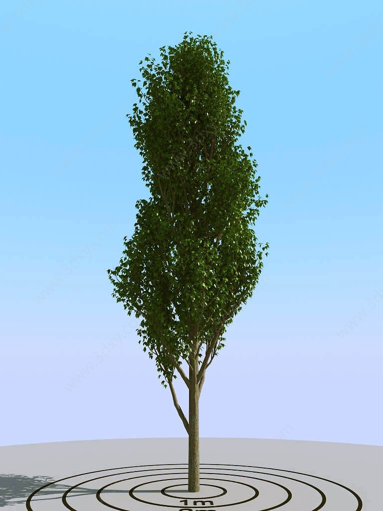 景观树3D模型