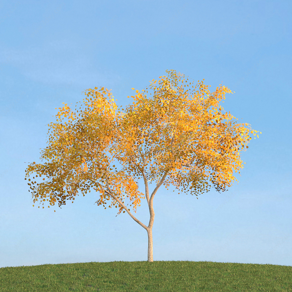 现代秋季黄树叶景观树,3D模型