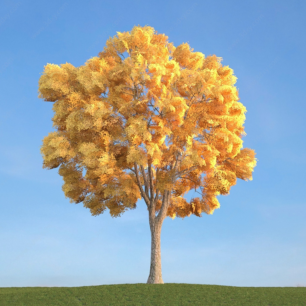 秋季黄树叶景观树3D模型
