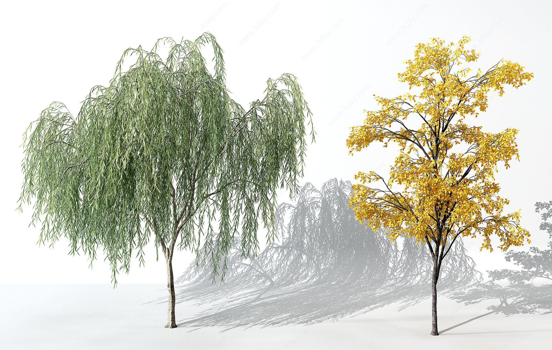 景观植物树3D模型