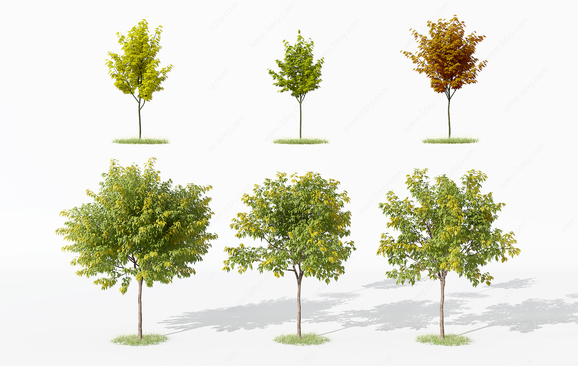 树绿植3D模型