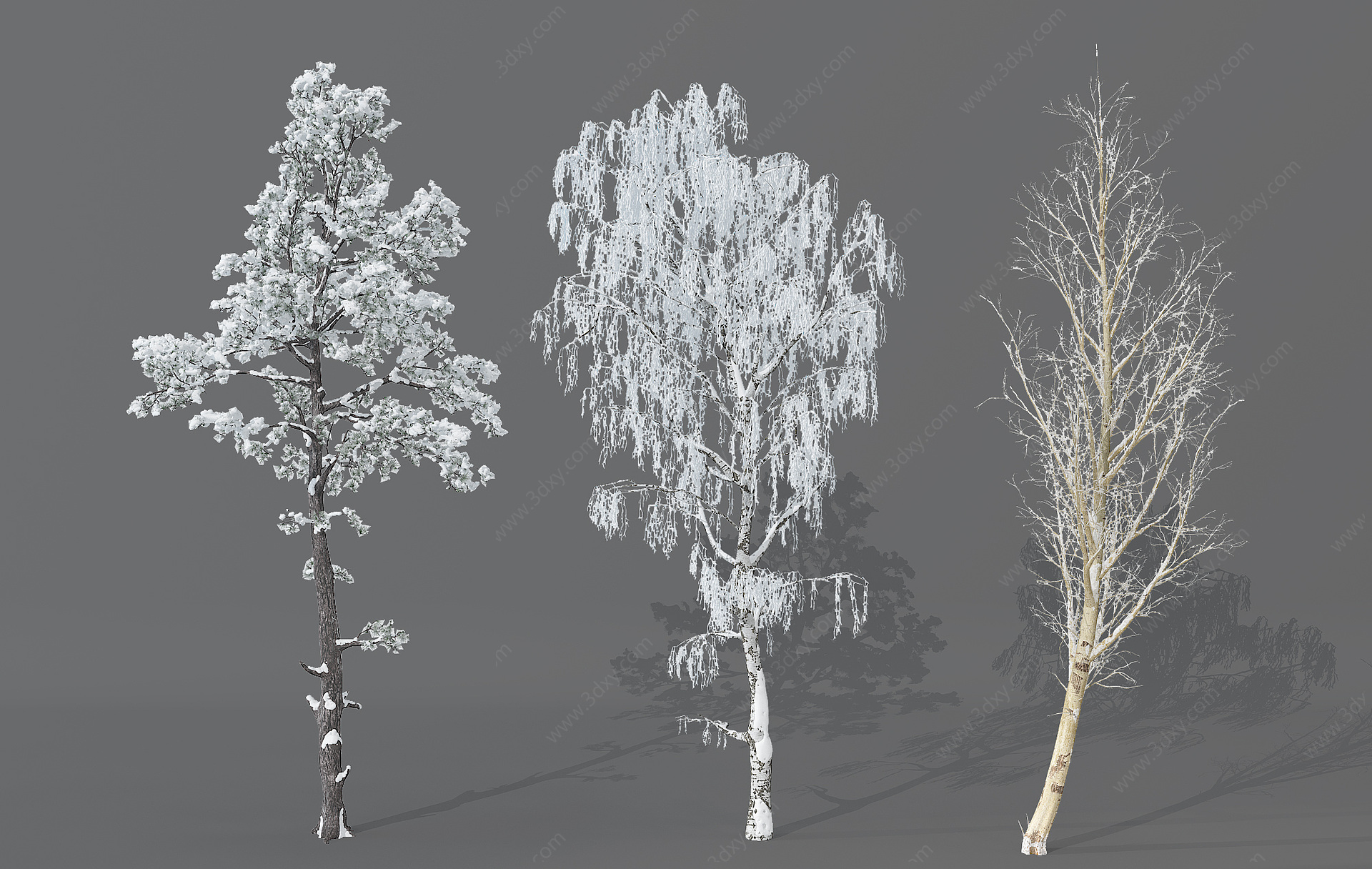 雪景枯树3D模型