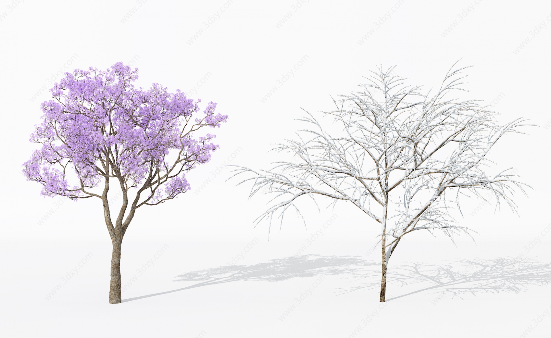 景观植物树雪景树枯树干枝3D模型