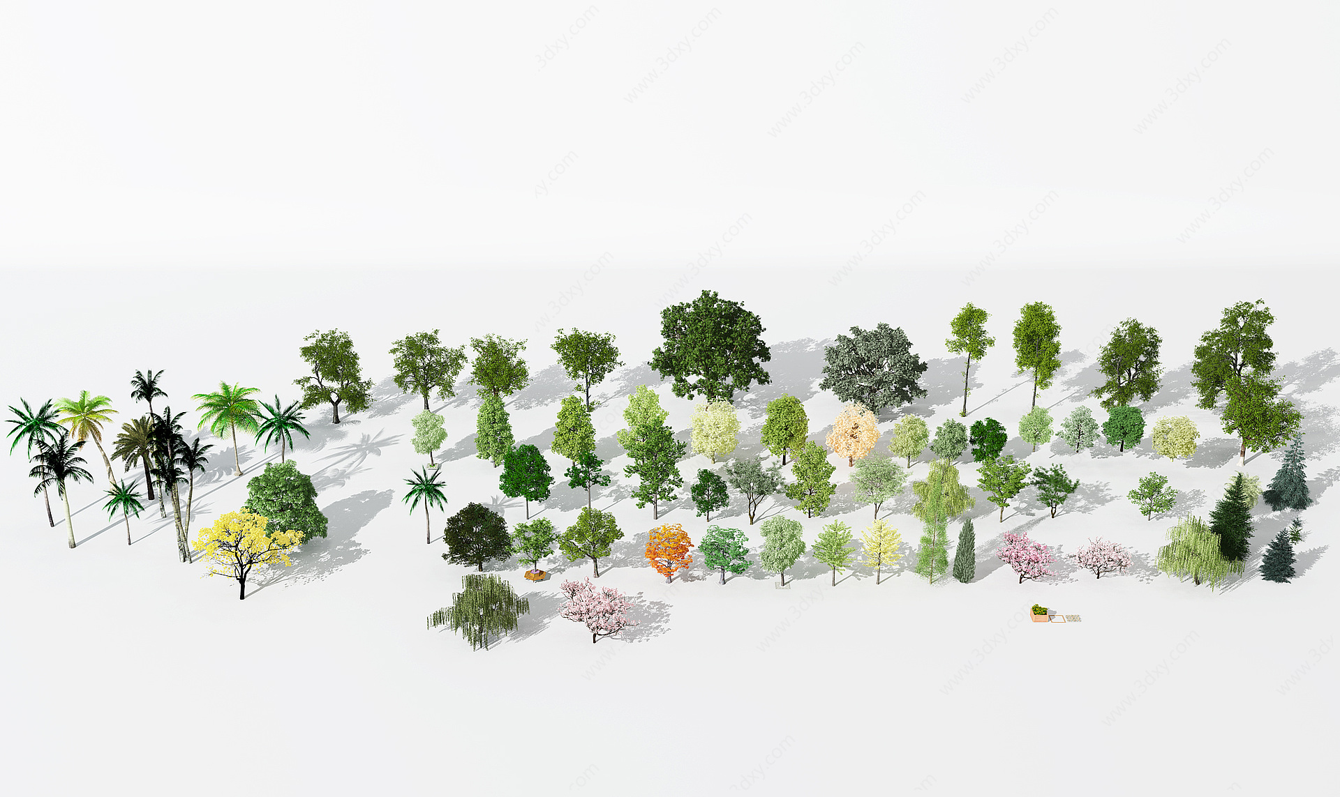景观植物树灌木3D模型