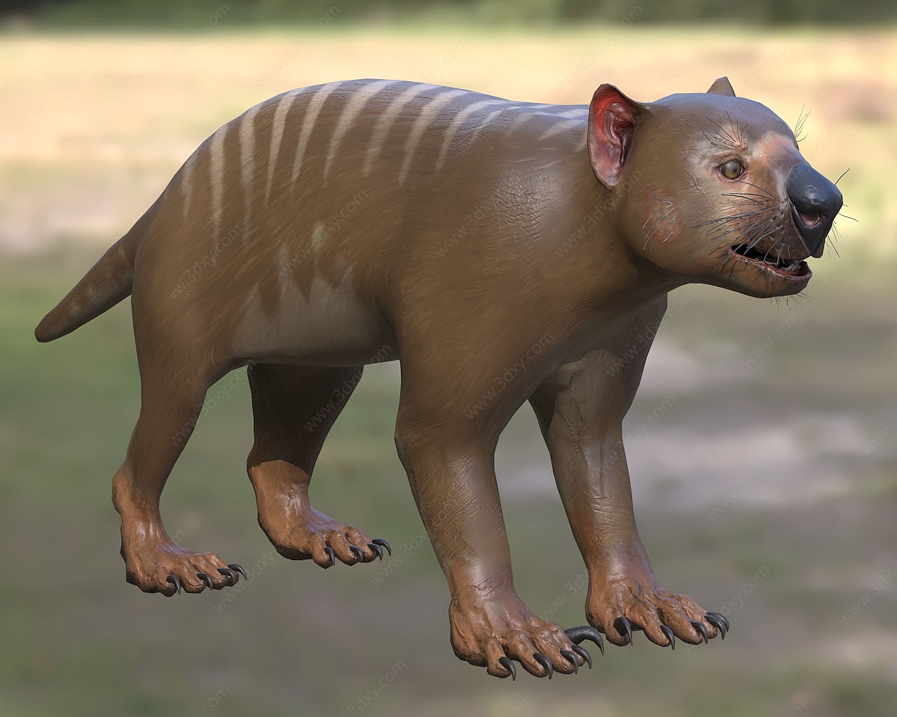 刽子手袋狮食肉哺乳动物3D模型