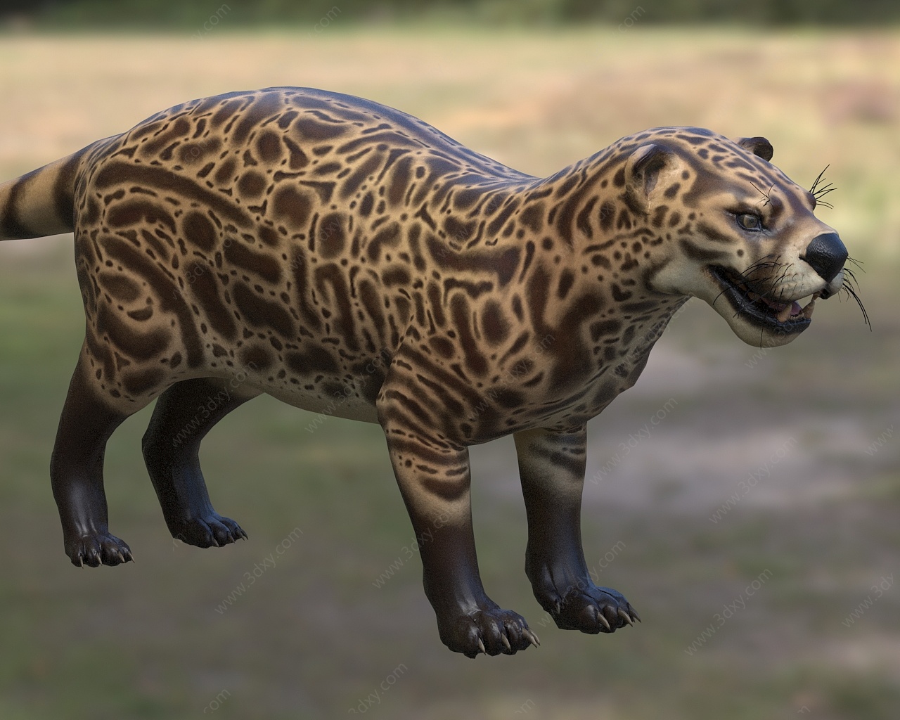 北美洲父猫牛鬣兽科动物3D模型