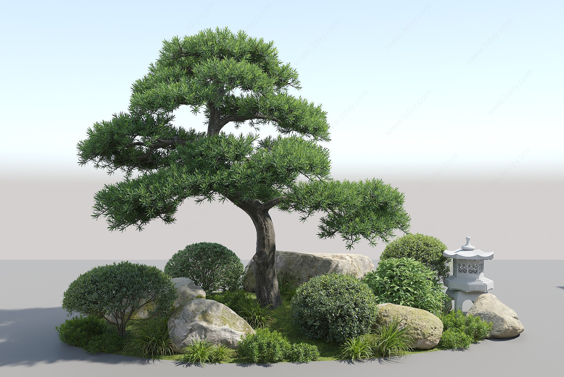 景观树松树3D模型