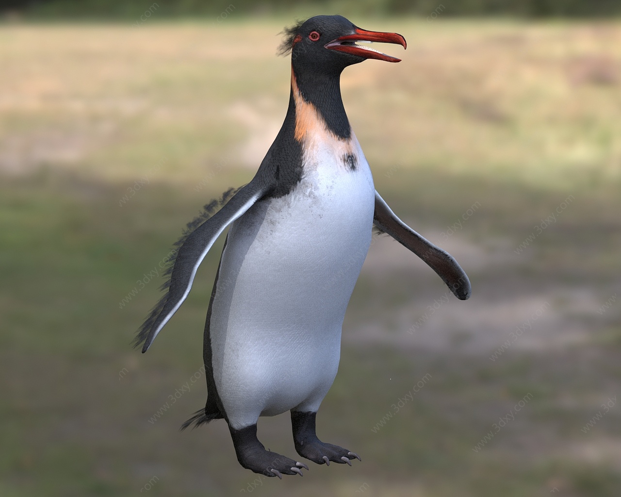 企鹅巨型企鹅海洋生物3D模型