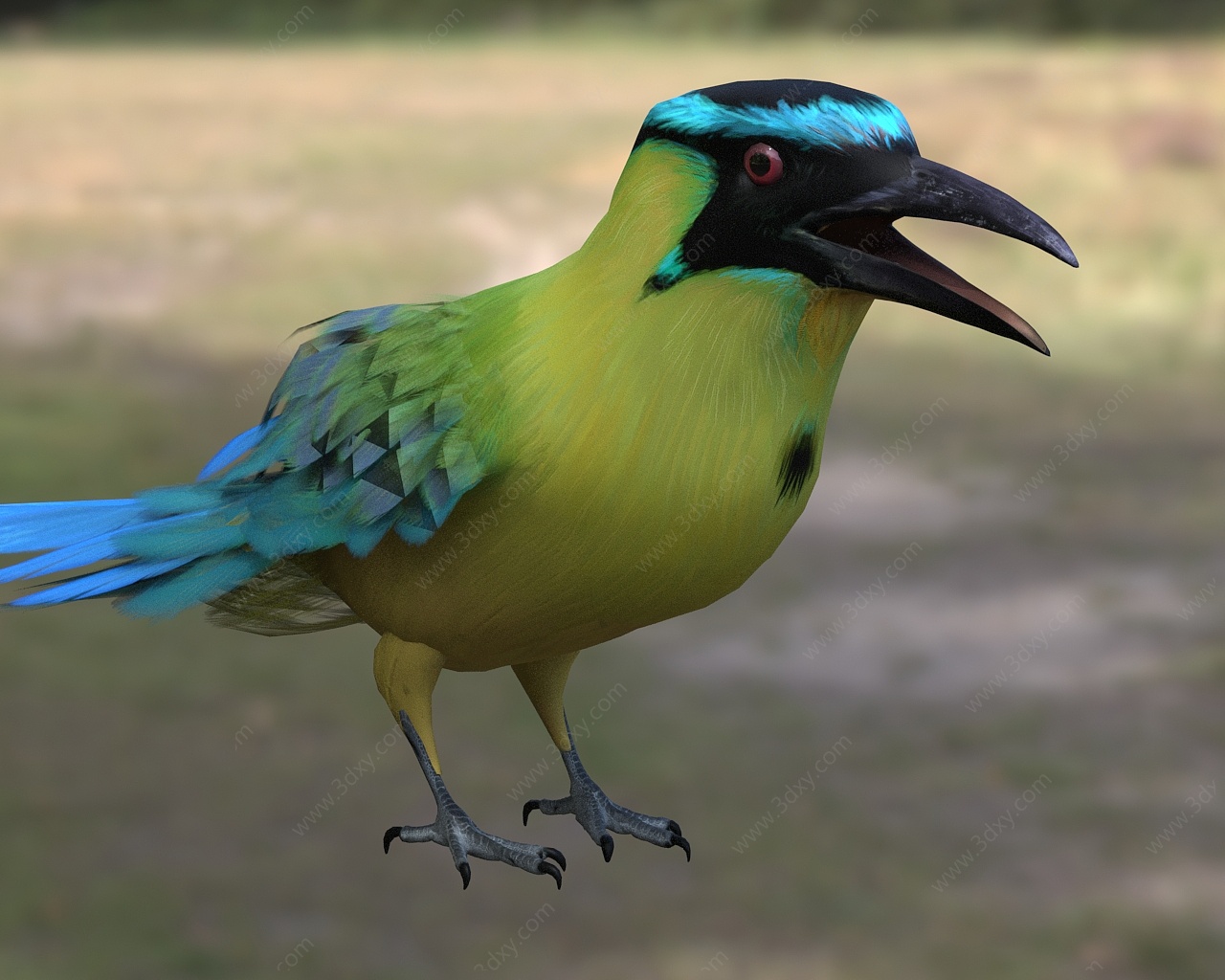 美洲热带鸟3D模型