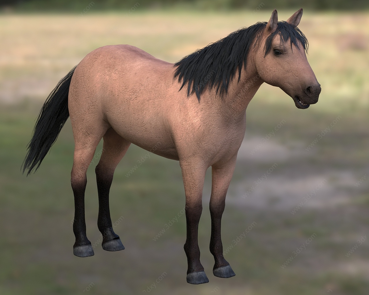 家马野马匹动物3D模型