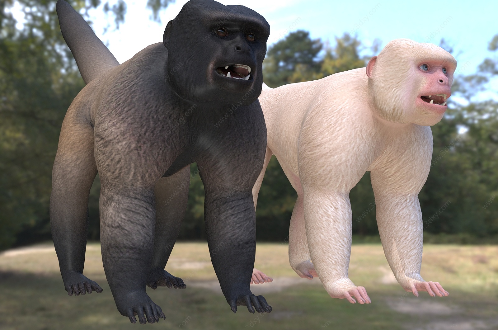 灰绒毛猴洪堡绒毛猴动物3D模型