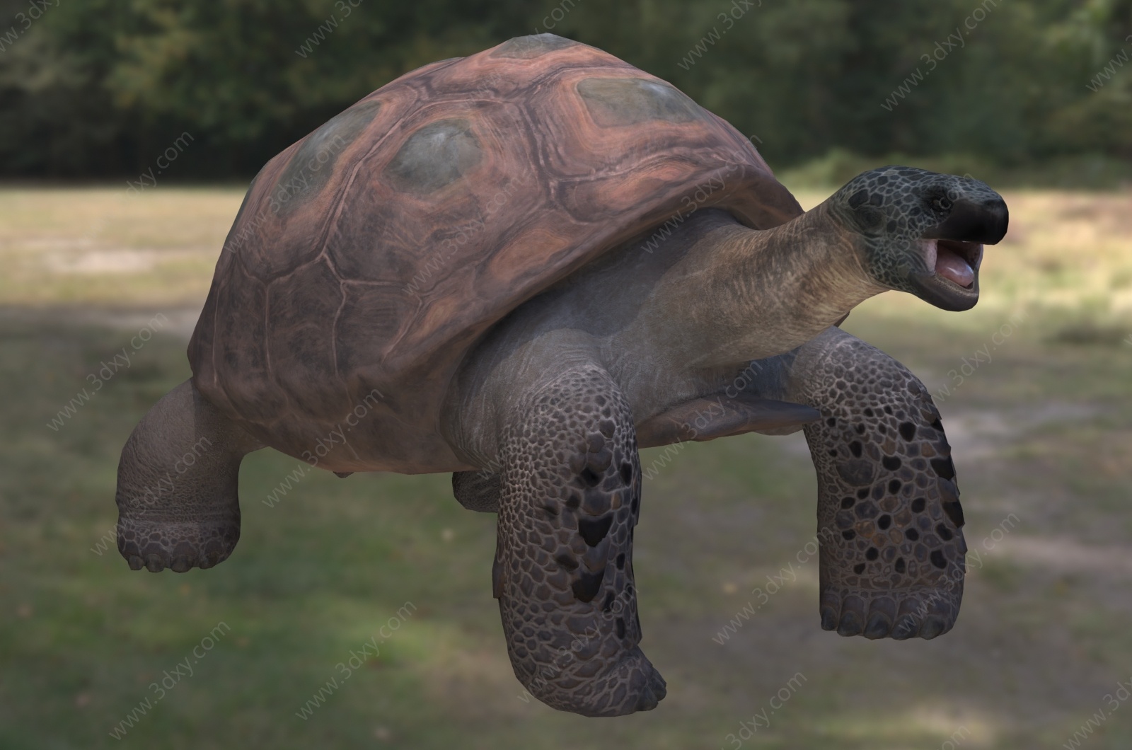 巨龟大东方龟阿特拉斯巨龟3D模型