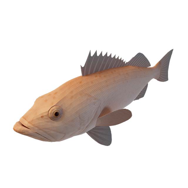 小金鱼3D模型