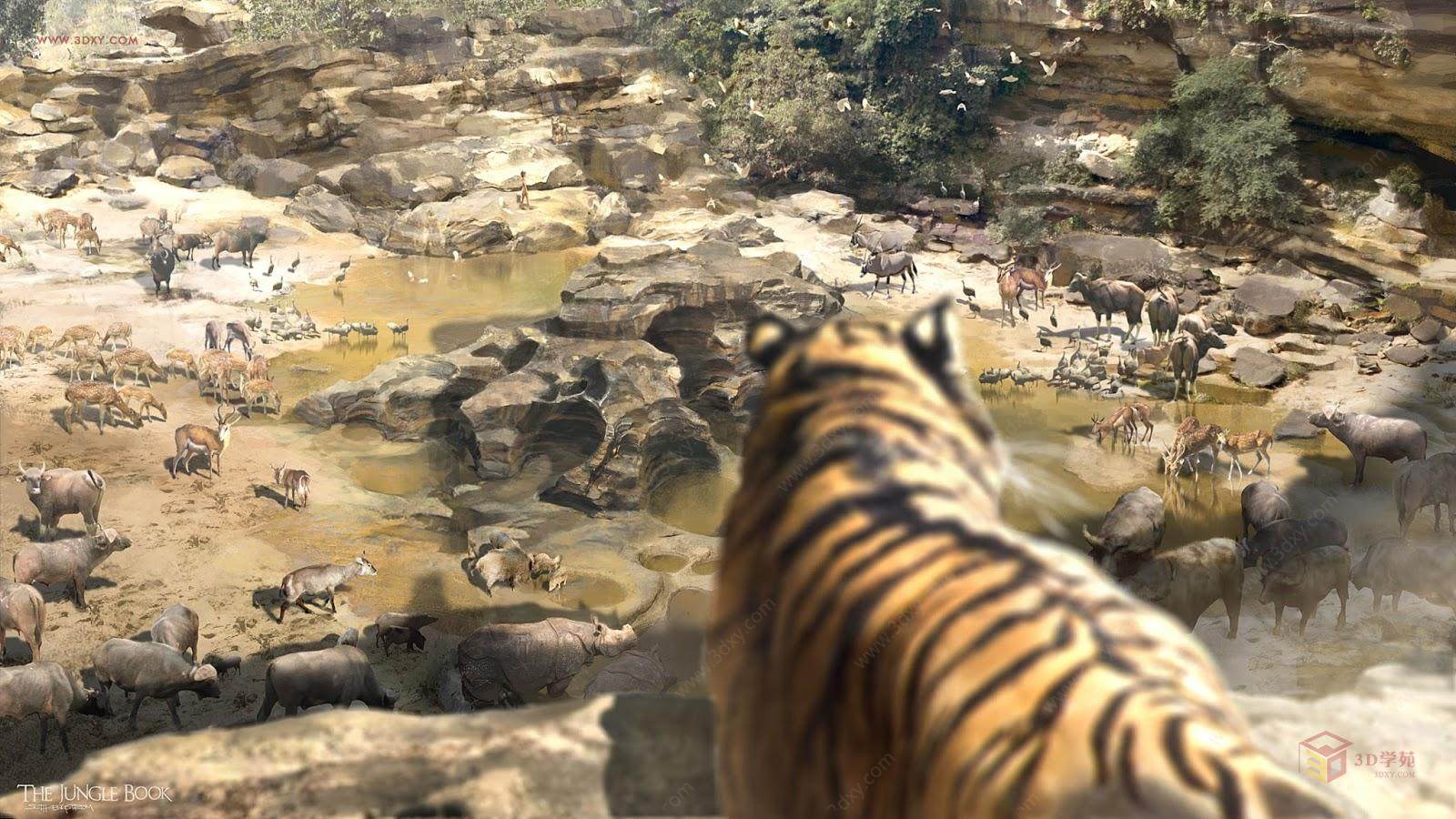 电影《奇幻森林》The Jungle Book(2016) 与森林共舞