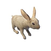 兔子3D模型3d模型
