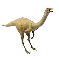 站立恐龙3D模型3d模型