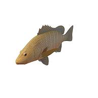 黄鱼3D模型3d模型