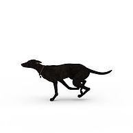 黑色家犬3D模型3d模型