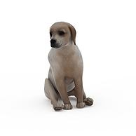 宠物花皮狗3D模型3d模型