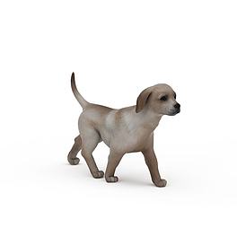 小狗模型3D模型