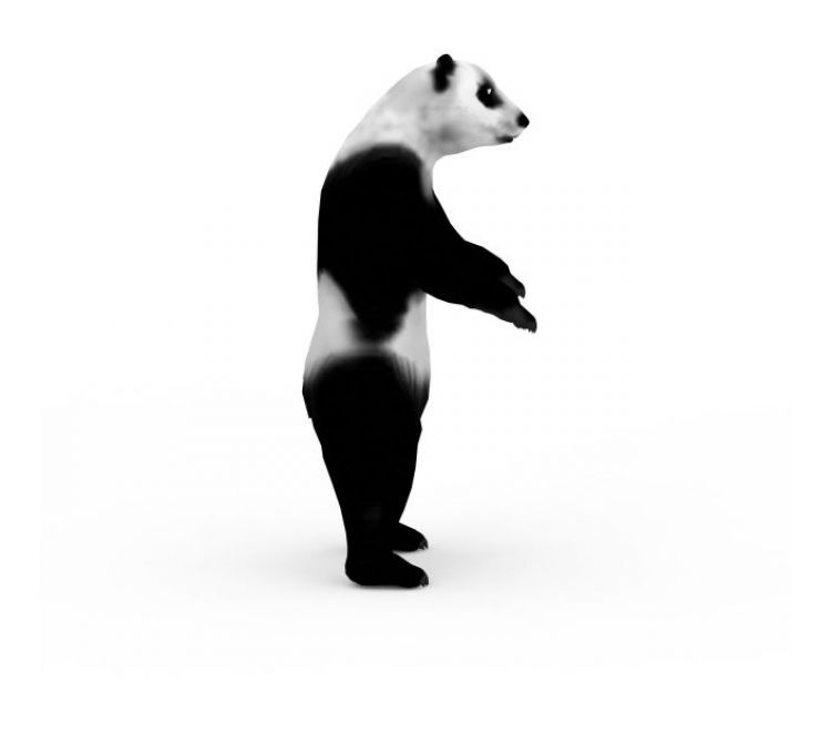 3d大熊猫模型 大熊猫3d模型下载 3d大熊猫模型免费下载