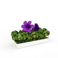 花盆装饰品3D模型3d模型