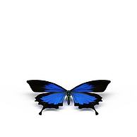 蓝色蝴蝶3D模型3d模型