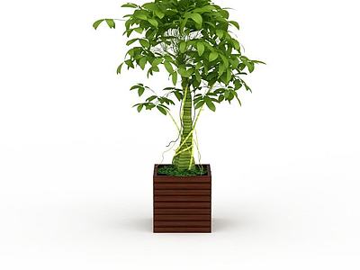 室内绿化植物3d模型3d模型