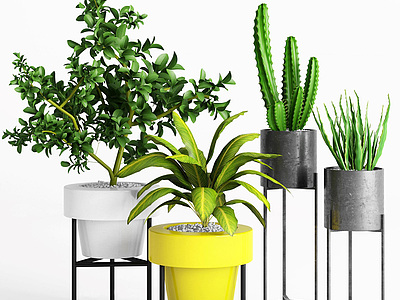 现代室内绿植盆栽3d模型3d模型