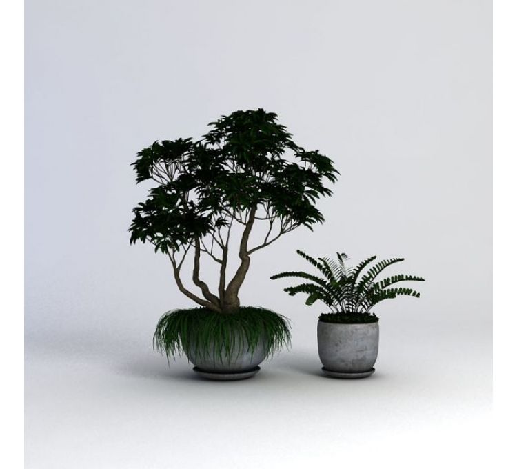3d植物盆栽模型 植物盆栽3d模型下载 3d植物盆栽模型免费下载