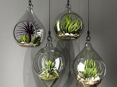 玻璃吊瓶植物3d模型3d模型