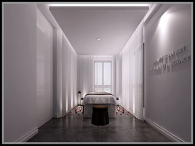 美容机构美容房间设置3d模型3d模型