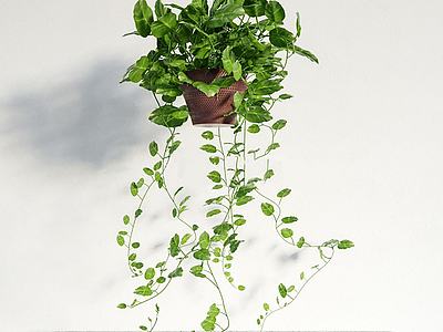 现代吊篮绿植盆栽3d模型3d模型