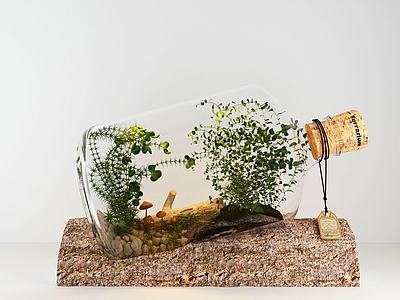 现代清新玻璃瓶植物3d模型3d模型