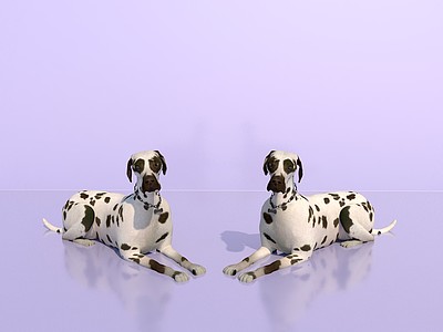 C4D动物狗模型