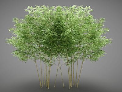 树木3d模型3d模型