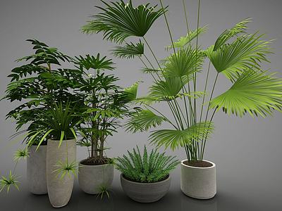 现代绿色植物盆栽3d模型3d模型